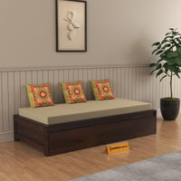 Solid Sheesham Wood Diwan Cum Bed With Storage, 3 Seater Sofa Cum Couch, Divan Cot For Home Hall Divan Bed For Living Room, With Mattress And Without Pillow