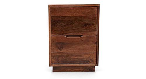 Saamenia Furnitures Sheesham Wood Contemporary End Table with 2 Drawer | Bed Side Table (Wood,Natural)